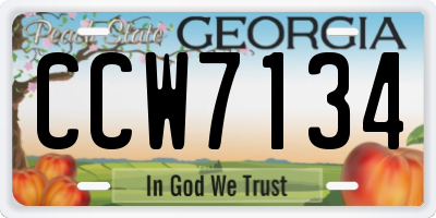 GA license plate CCW7134