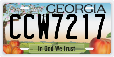 GA license plate CCW7217