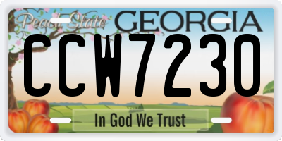 GA license plate CCW7230