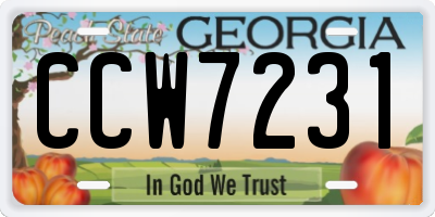 GA license plate CCW7231