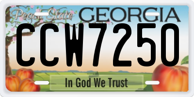 GA license plate CCW7250