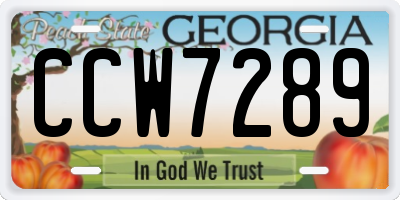GA license plate CCW7289