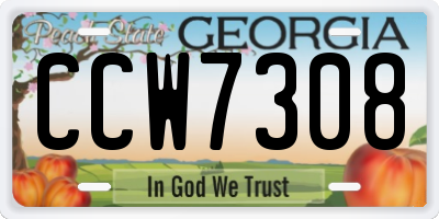 GA license plate CCW7308