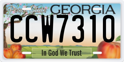 GA license plate CCW7310