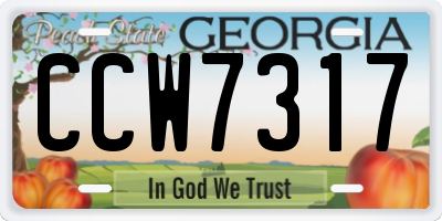 GA license plate CCW7317