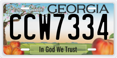 GA license plate CCW7334