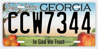 GA license plate CCW7344