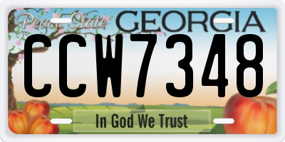 GA license plate CCW7348