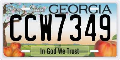 GA license plate CCW7349