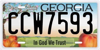 GA license plate CCW7593