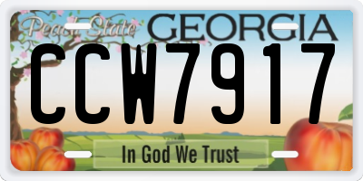 GA license plate CCW7917