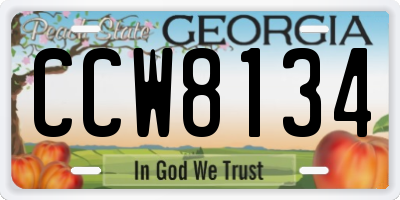 GA license plate CCW8134