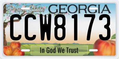 GA license plate CCW8173