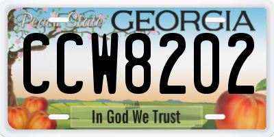 GA license plate CCW8202