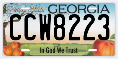 GA license plate CCW8223