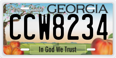 GA license plate CCW8234
