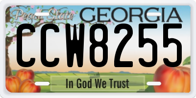GA license plate CCW8255