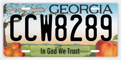 GA license plate CCW8289