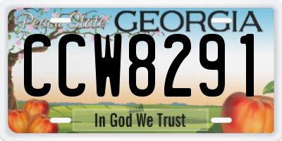 GA license plate CCW8291