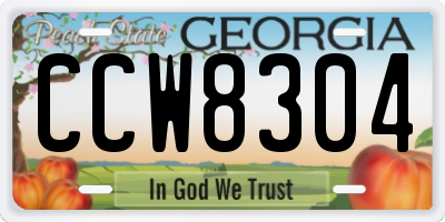 GA license plate CCW8304