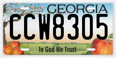 GA license plate CCW8305