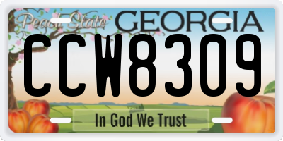GA license plate CCW8309