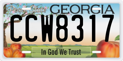GA license plate CCW8317