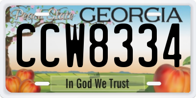 GA license plate CCW8334