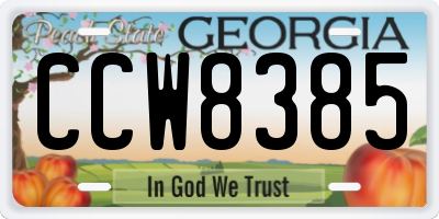 GA license plate CCW8385
