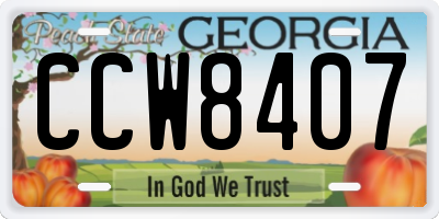 GA license plate CCW8407