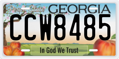GA license plate CCW8485