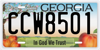 GA license plate CCW8501