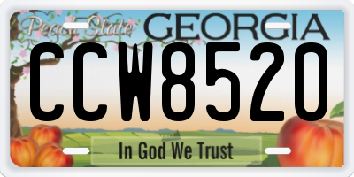 GA license plate CCW8520