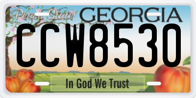 GA license plate CCW8530
