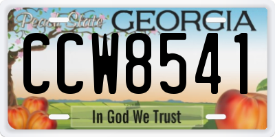 GA license plate CCW8541