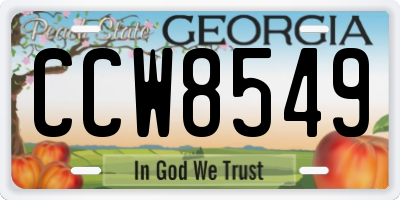 GA license plate CCW8549
