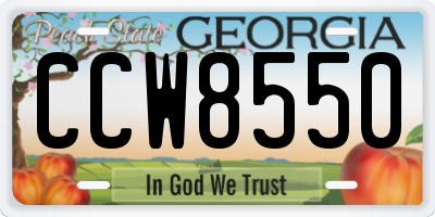 GA license plate CCW8550