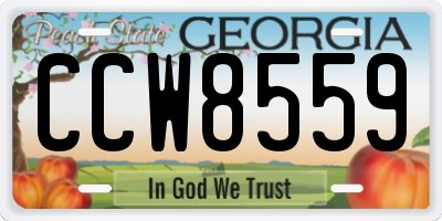 GA license plate CCW8559
