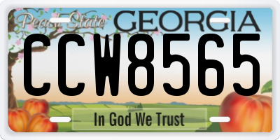 GA license plate CCW8565