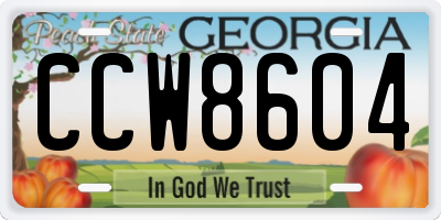 GA license plate CCW8604