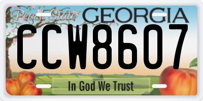 GA license plate CCW8607