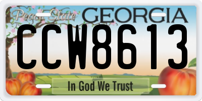 GA license plate CCW8613