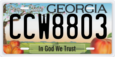 GA license plate CCW8803