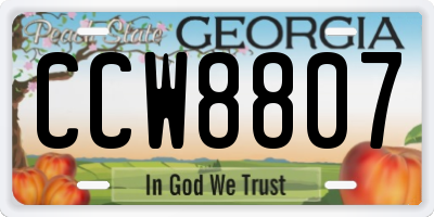 GA license plate CCW8807