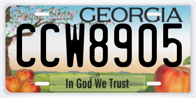 GA license plate CCW8905