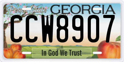 GA license plate CCW8907