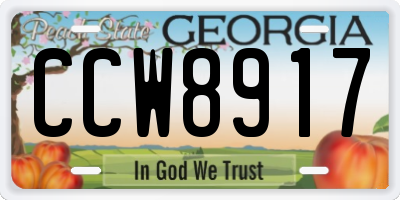 GA license plate CCW8917