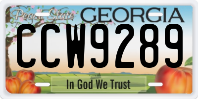 GA license plate CCW9289