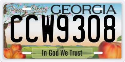 GA license plate CCW9308