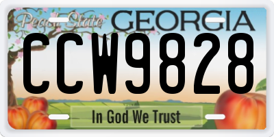 GA license plate CCW9828